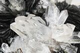 Quartz Crystals On Sparkling Bladed Hematite - Lechang Mine #226004-11